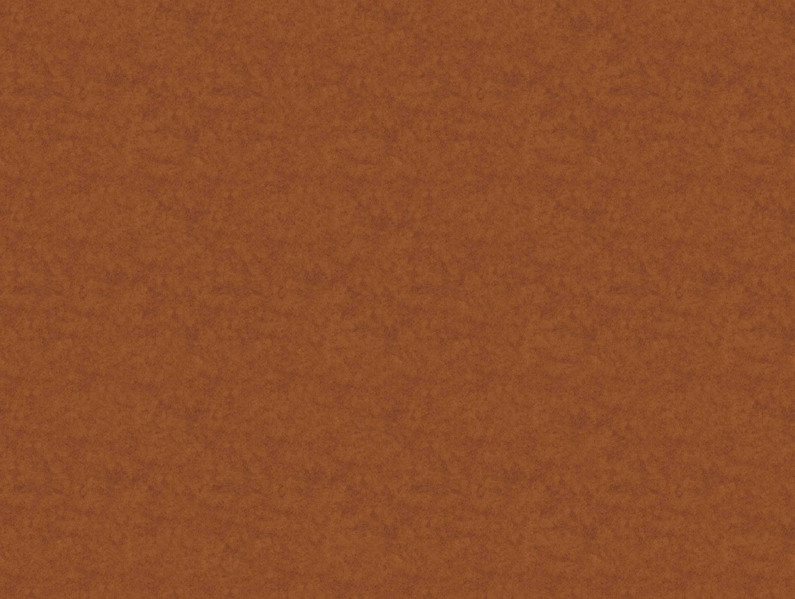 Flotex Colour у рулоні - s290024 Calgary fire